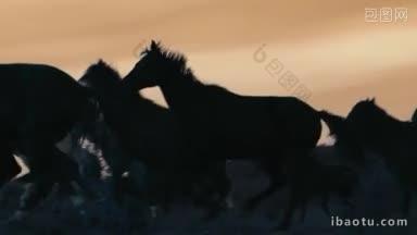 <strong>一群</strong>野马在粉色的夕阳下穿过黄色的山丘
